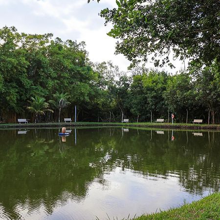 Hotel Park Das Aguas Três Lagoas Zewnętrze zdjęcie